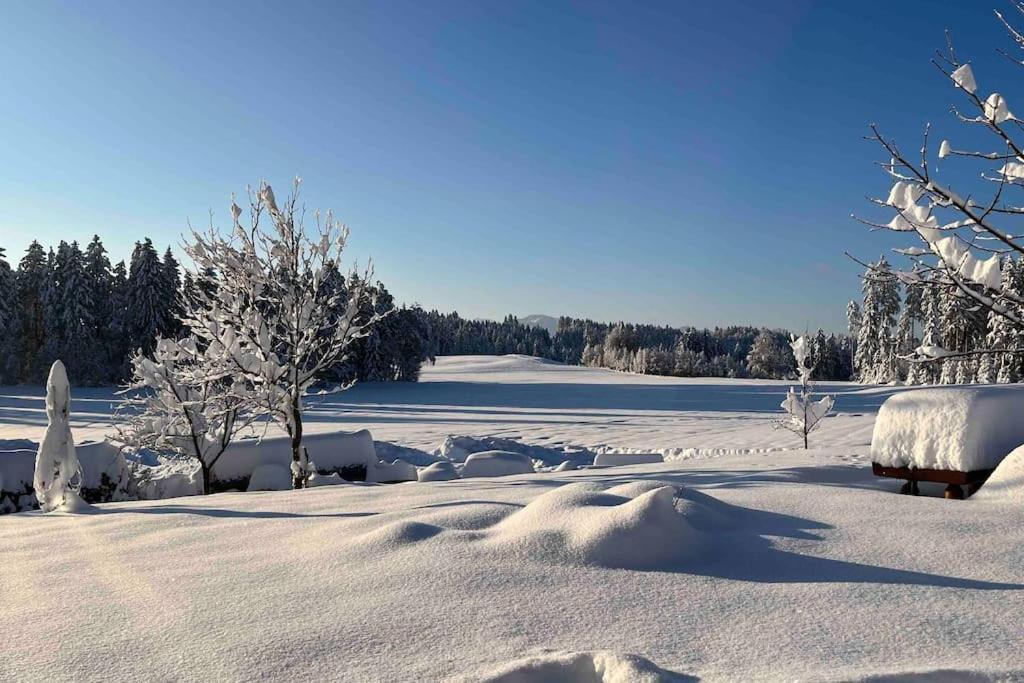 Allgaeuhaus Thomas Am Bauernhof Ferienwohnung Wald  Exteriér fotografie